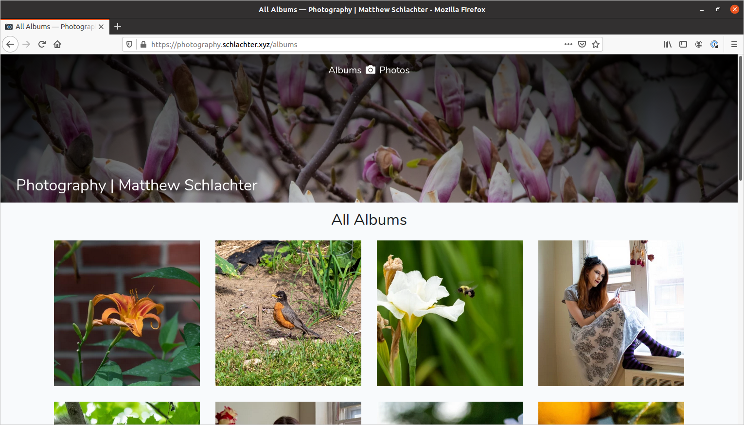 Screenshot of the 'all albums' page of a photography website